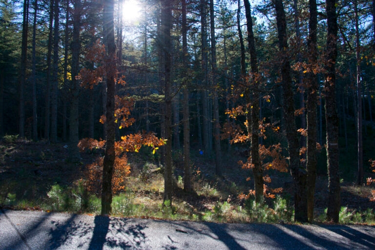 23Nov-Ventouxetneige13