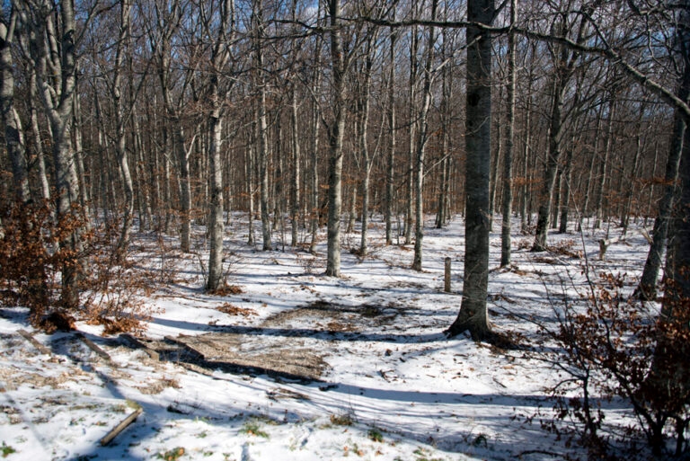 23Nov-Ventouxetneige2