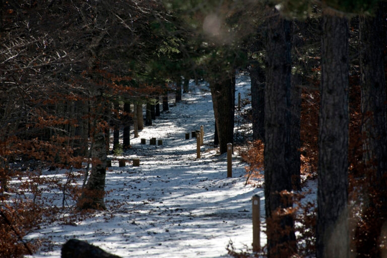 23Nov-Ventouxetneige4