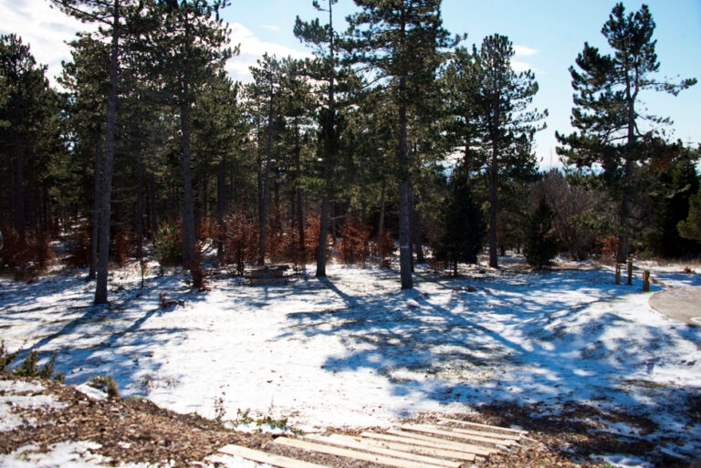 23Nov-Ventouxetneige5