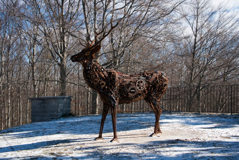 23Nov-Ventouxetneige6