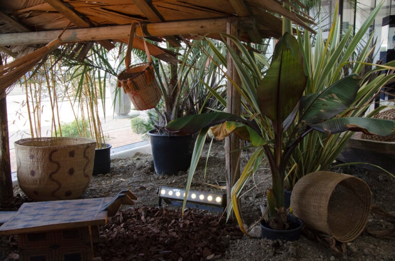 11mars-SorguesBrsil_21