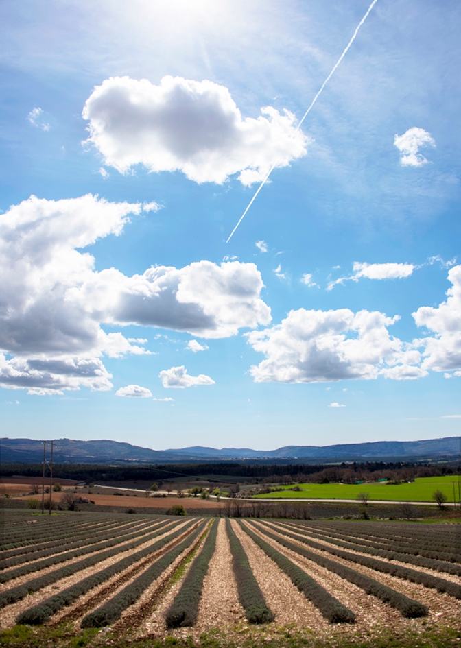 De-Sault-a-Sederon12