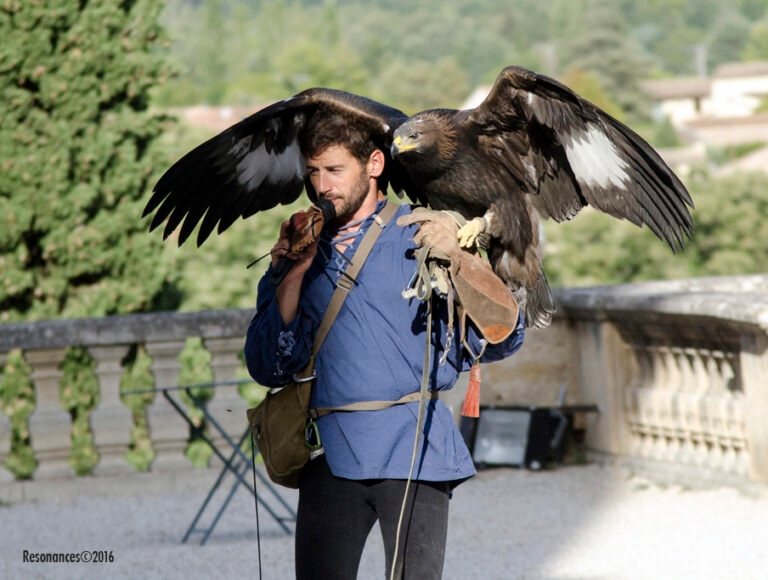 Lourmarin-Aigle Royal_3