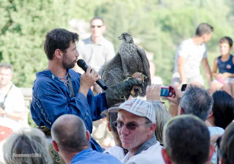 Lourmarin-Aigle Royal_8