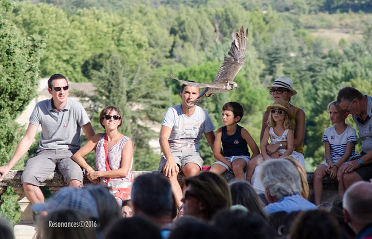 Lourmarin-Aigle Royal_9