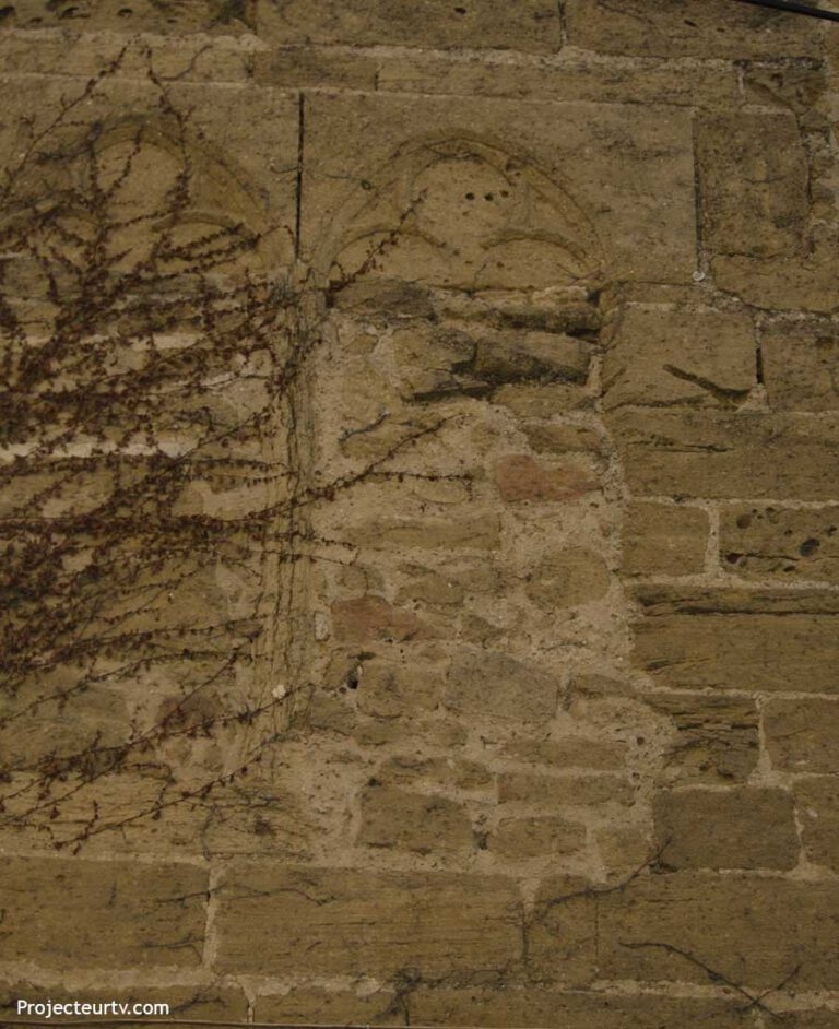 Visite guidée sorgues 15