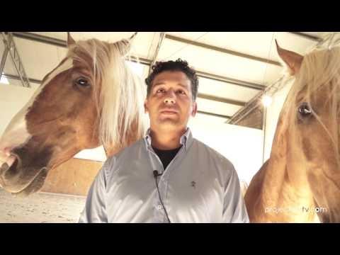 Gari Zoher, dresseur de chevaux - Cheval Passion 2017