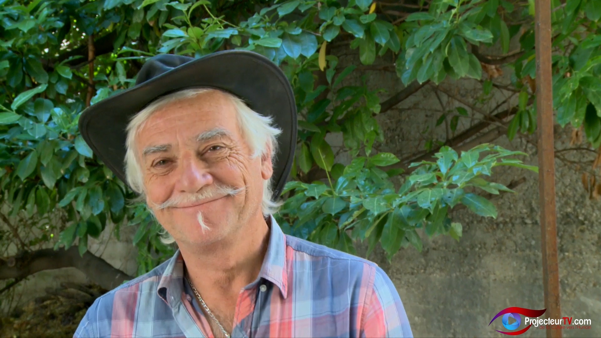 restauration de mosaïque - Solag Avignon