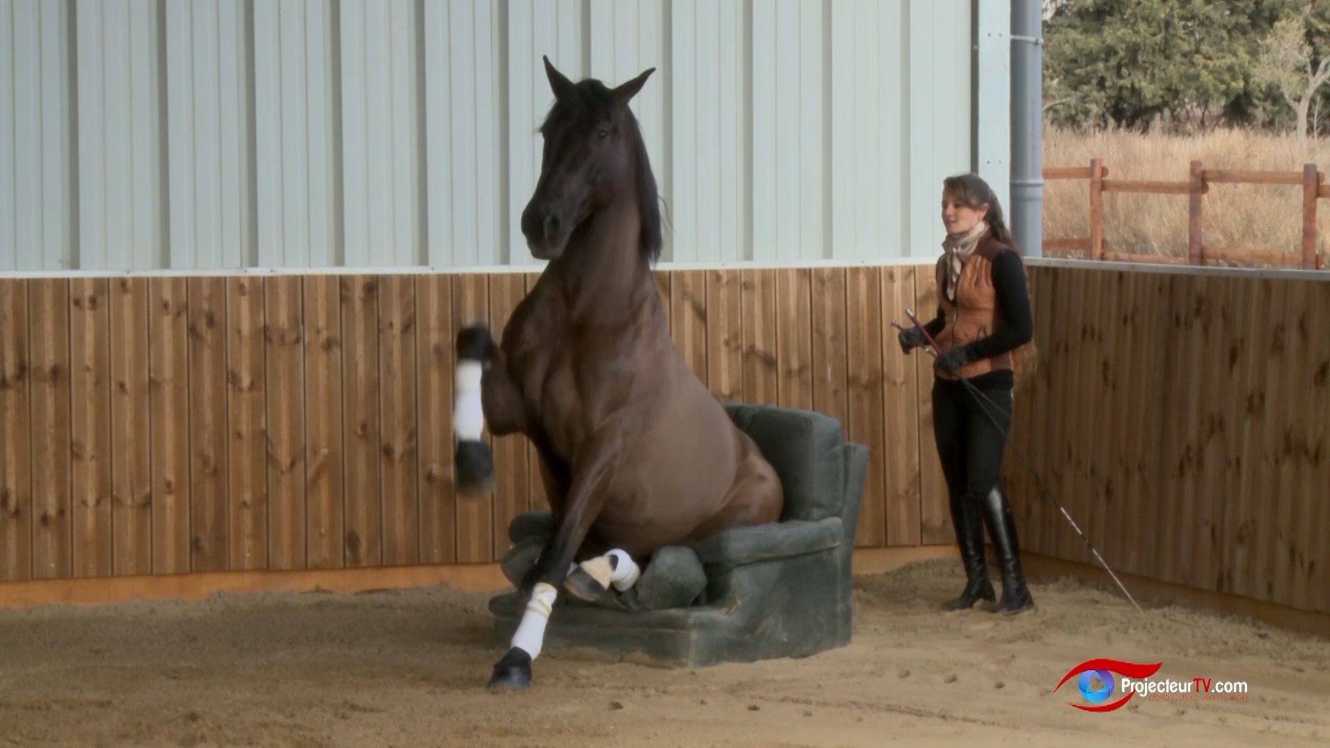 Cheval Passion 2018 - Sélyne et Jéremy Gonzales accompagnés du célèbre DJ David Vandetta, une exclusivité Cheval Passion.