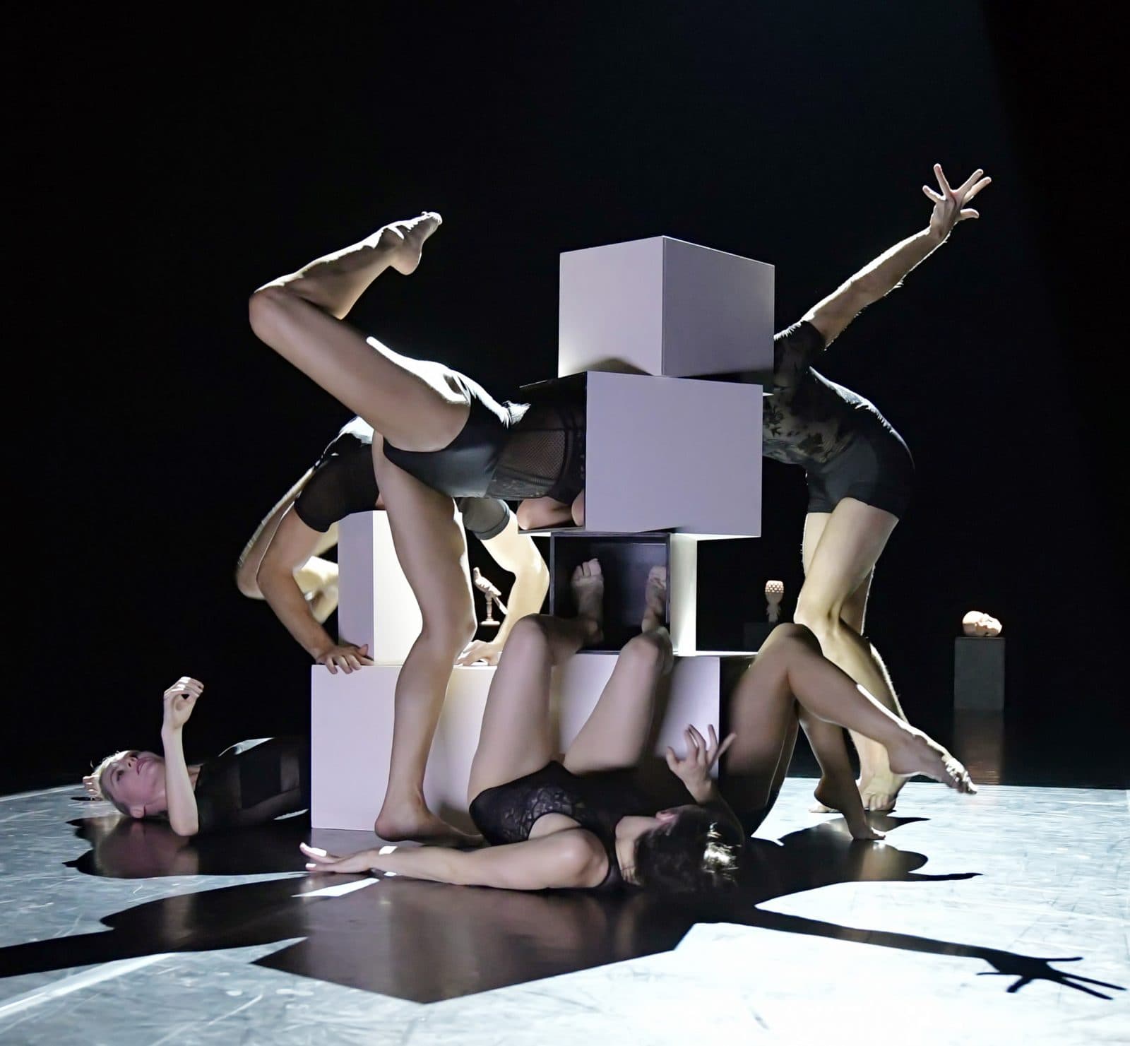 Sélection Danse en Région SUD Avril 2019