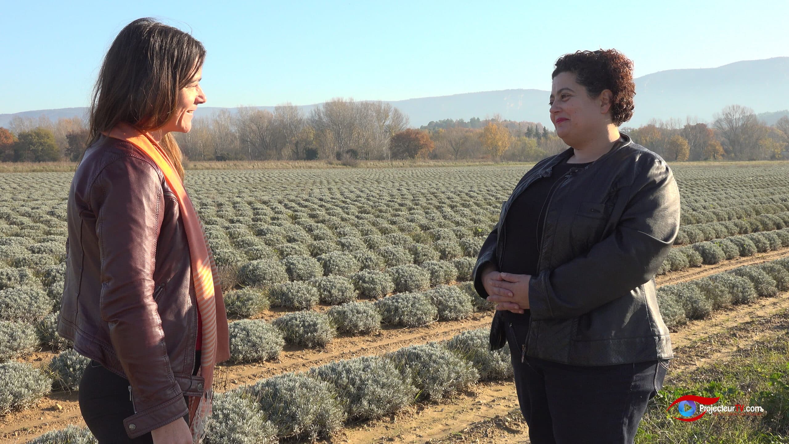 l'histoire de la Vénus de Gordes - Interview Cathy Mifsud