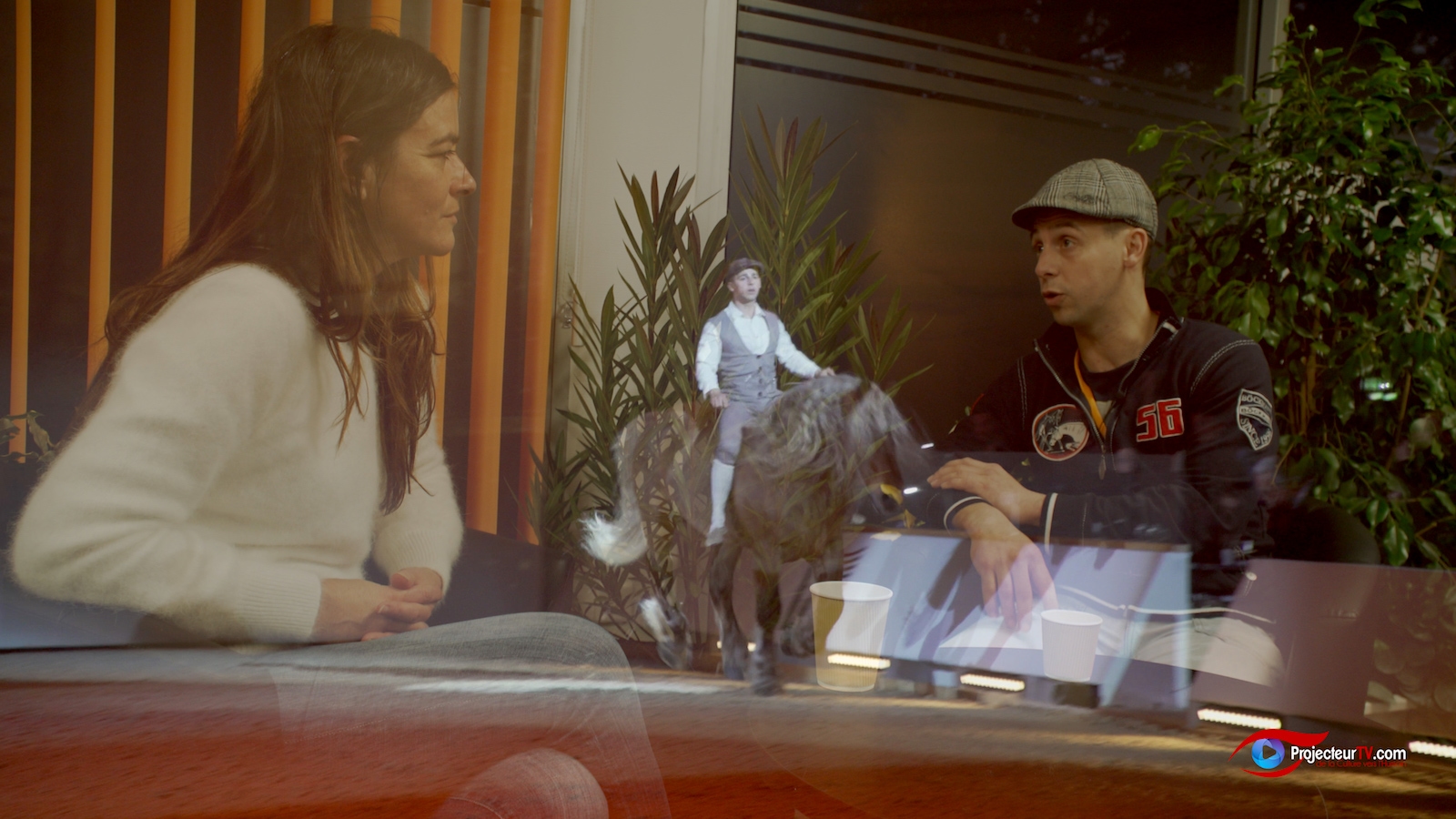 Cheval Passion Jérôme Sefer