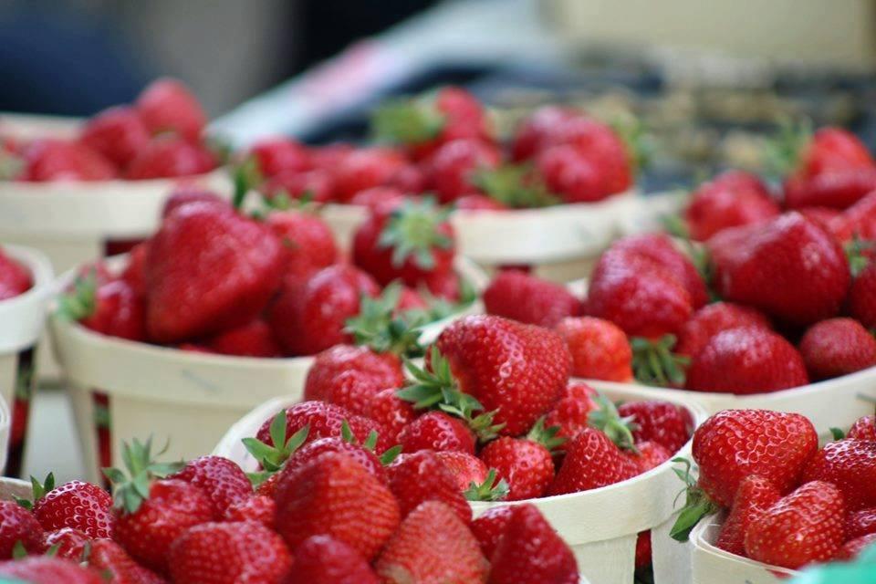Vaucluse, terre de culture et terroir fraises