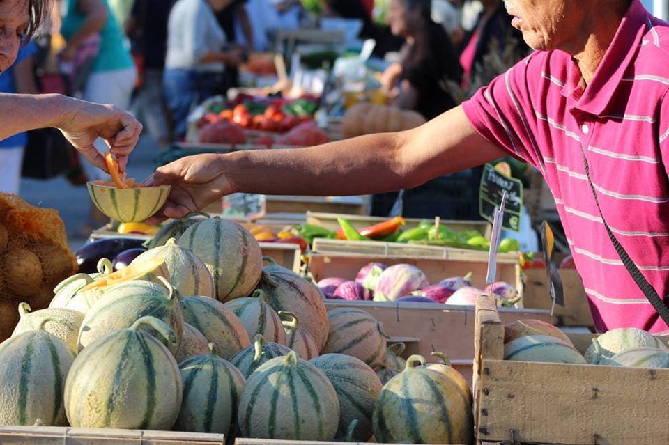 Vaucluse, terre de culture et terroir- melons marche de cavaillon