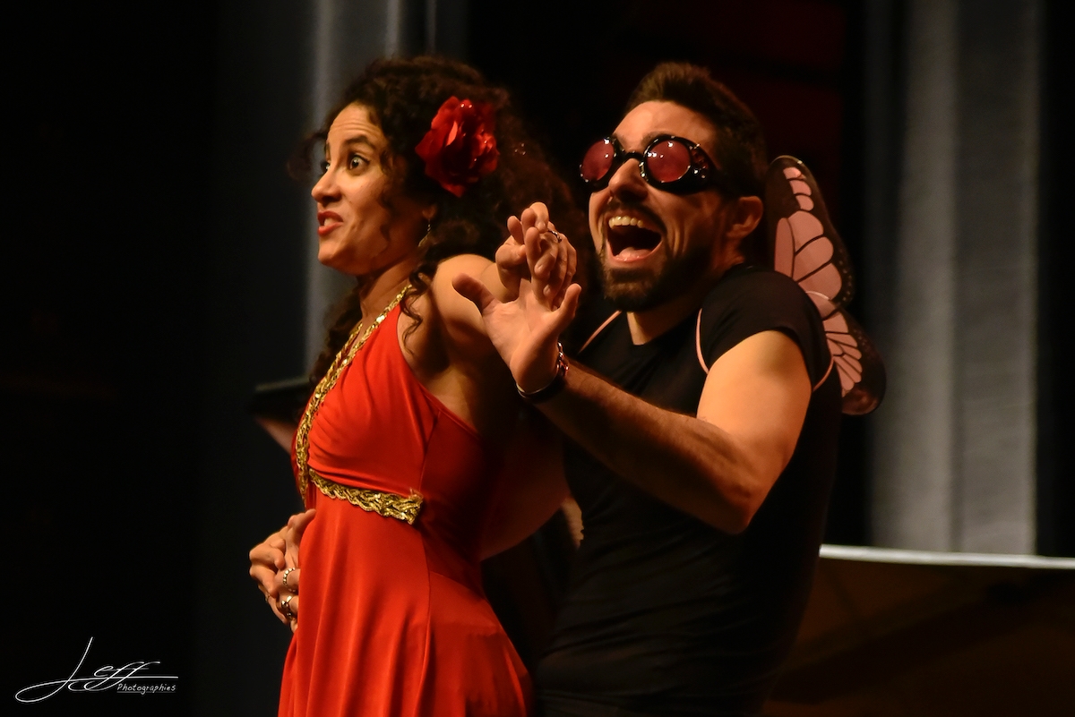 CALMS -Le Collectif des Artistes Lyriques et Musiciens pour la Solidarite