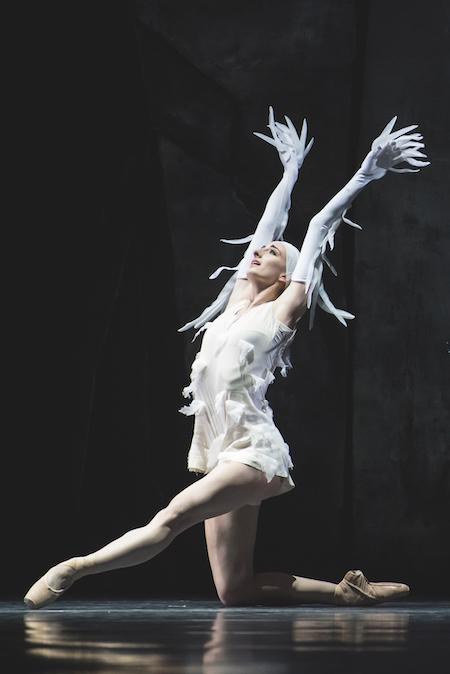 Spectacle danse LAC Ballets de Monte Carlo ©Alice Blangero.-1