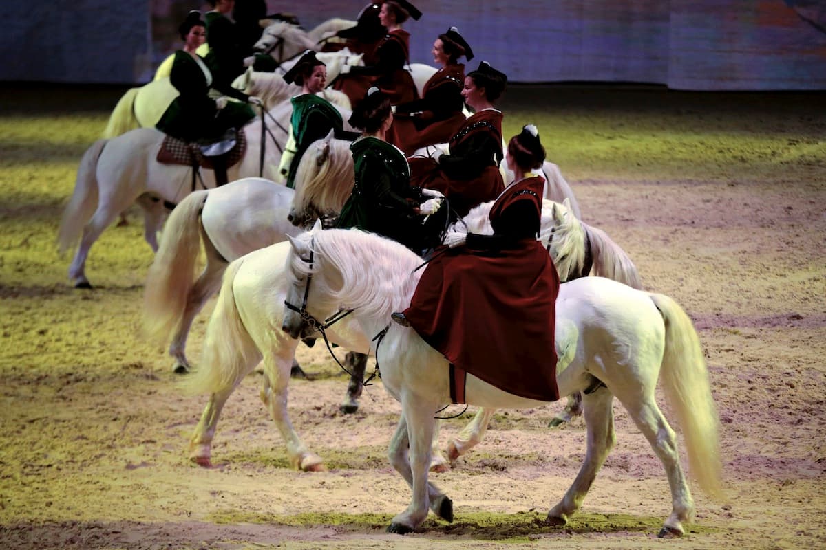 Gala crinieres d or la camargue a l'honneur