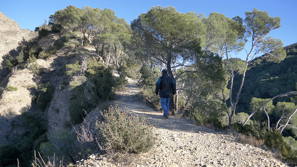 pénitents-des-mées-alpes-de-haute-provence-rocher-histoire-visite-géologie