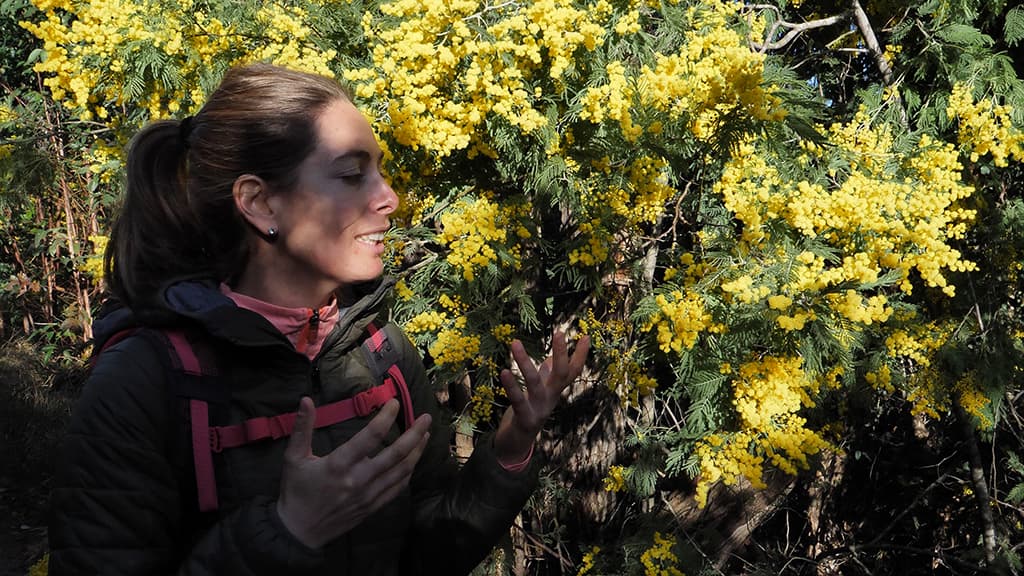 maddy polomeni mimosa esterel mandelieu la napoule