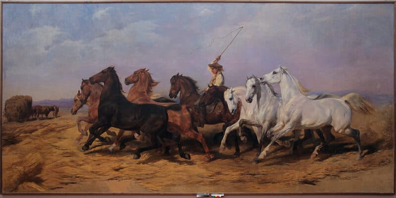 rosa bonheur la foulaison du ble en camargue mairie de bordeaux peinture animaliere