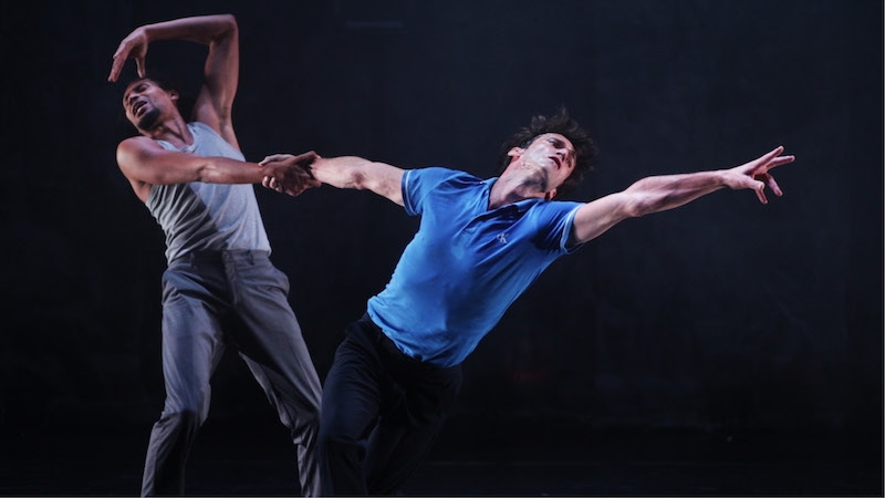 In the solitude of the cotton Toursky 2021 2022