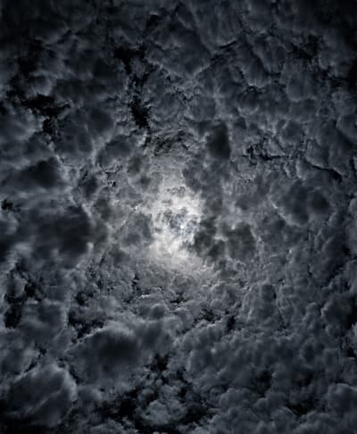 Exposition Marseille Festival Photo Eric Bourret