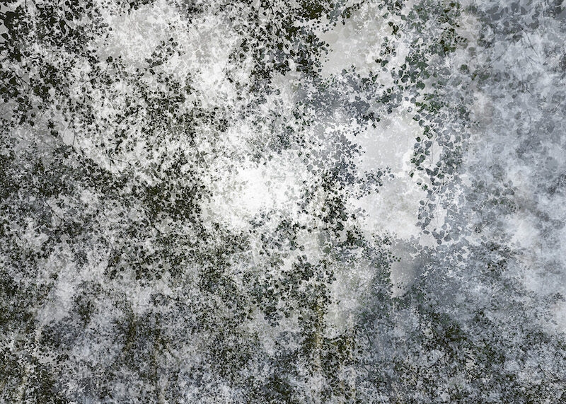 Eric Bourret exposition Festival Photo Marseille