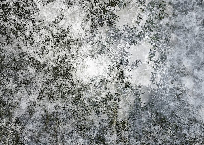 Eric Bourret exposition Festival Photo Marseille