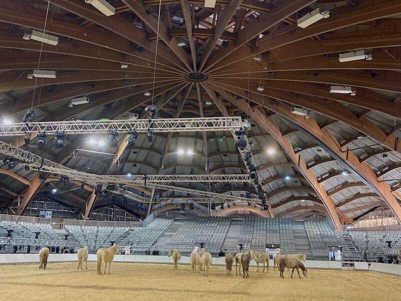 Cheval Passion 2022 - Hall A Parc expositions Avignon