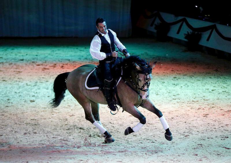 Laurent Douziech - Le Dream Horse Gala Crinieres d or Avignon