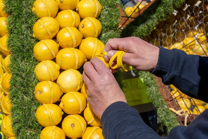 Fruitage fete du citron menton 2022