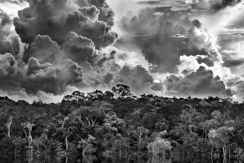 Archipel fluvial de Mariuá, Rio Negro, État d’Amazonas, Brésil, 2019 © Sebastião Salgado