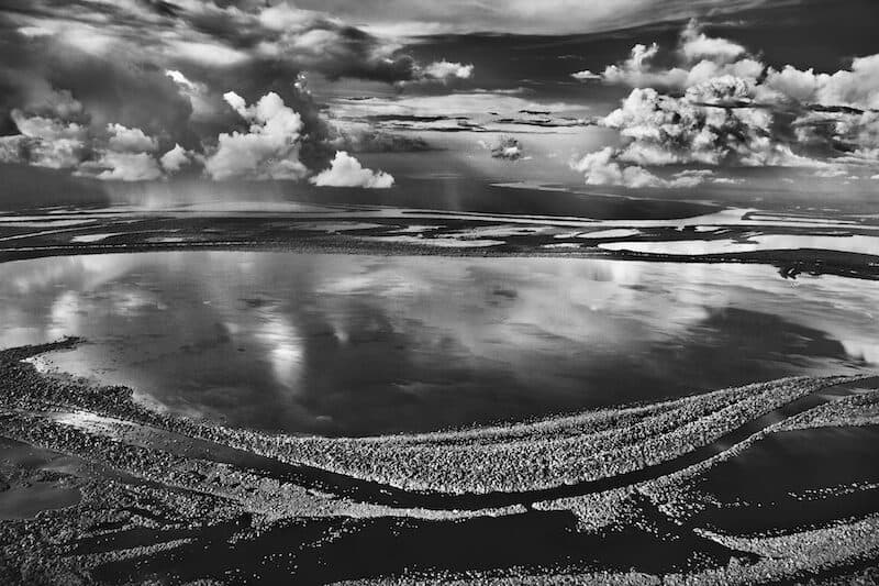 Îles Anavilhanas, îles boisées du Río Negro, État d’Amazonas, Brésil, 2009 - Sebastião Salgado.jpg