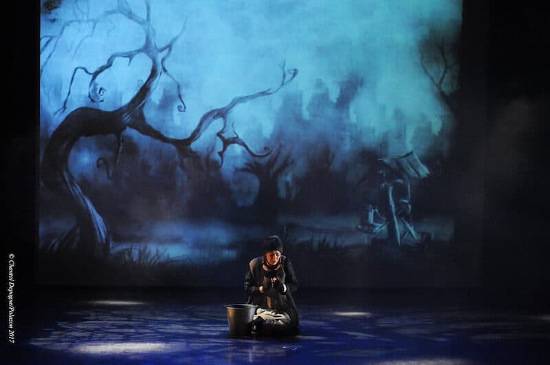 Miserables william mesguich victor hugo spectacle theatre musical