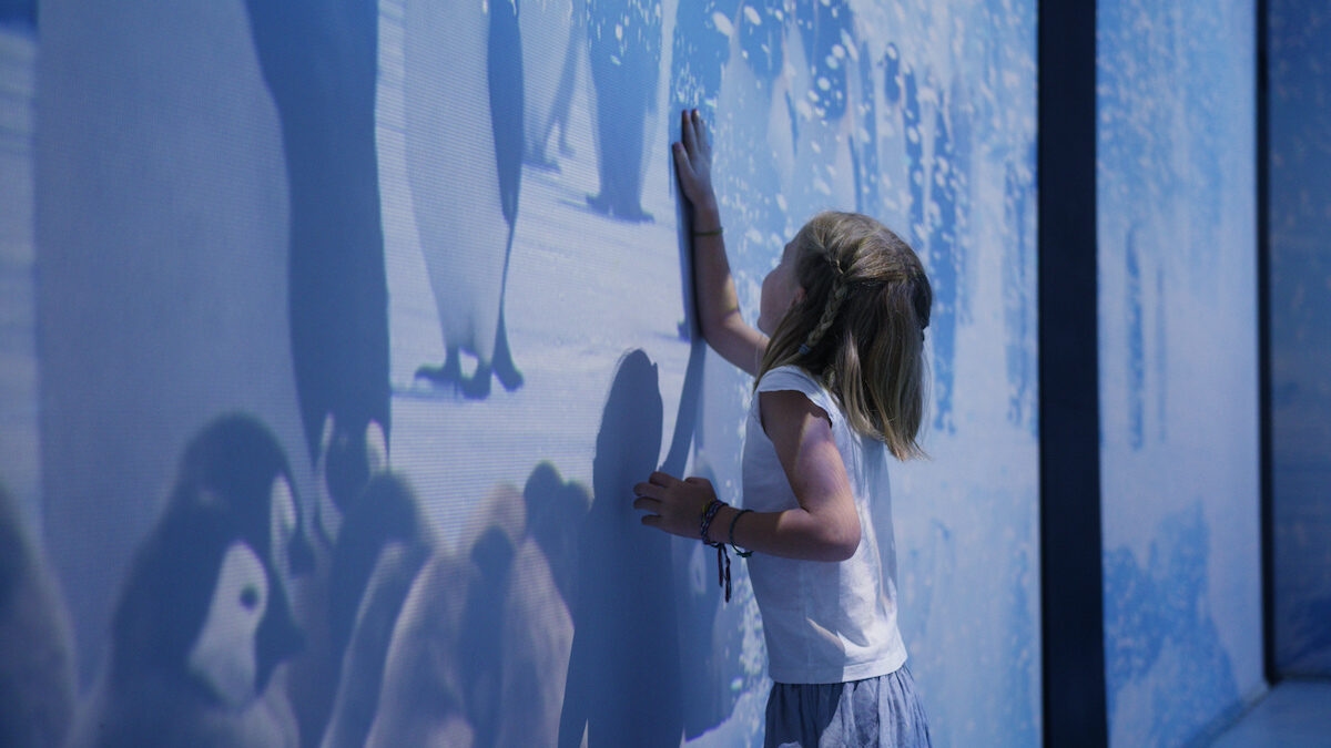 animations musee oceanographique monaco exposition mission polaire © Musee océanographique