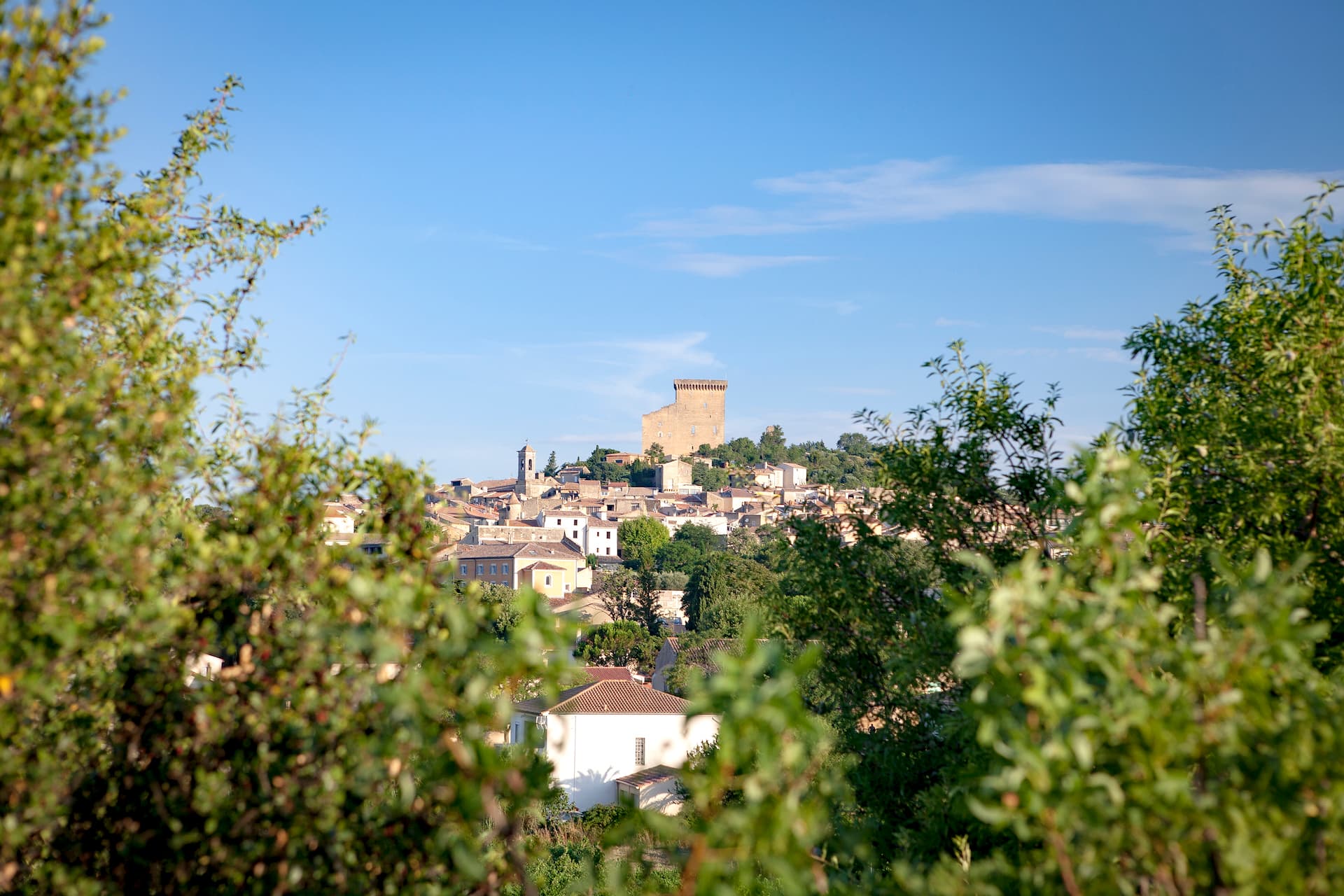 Village chateauneuf du papes événements à venir été 2023