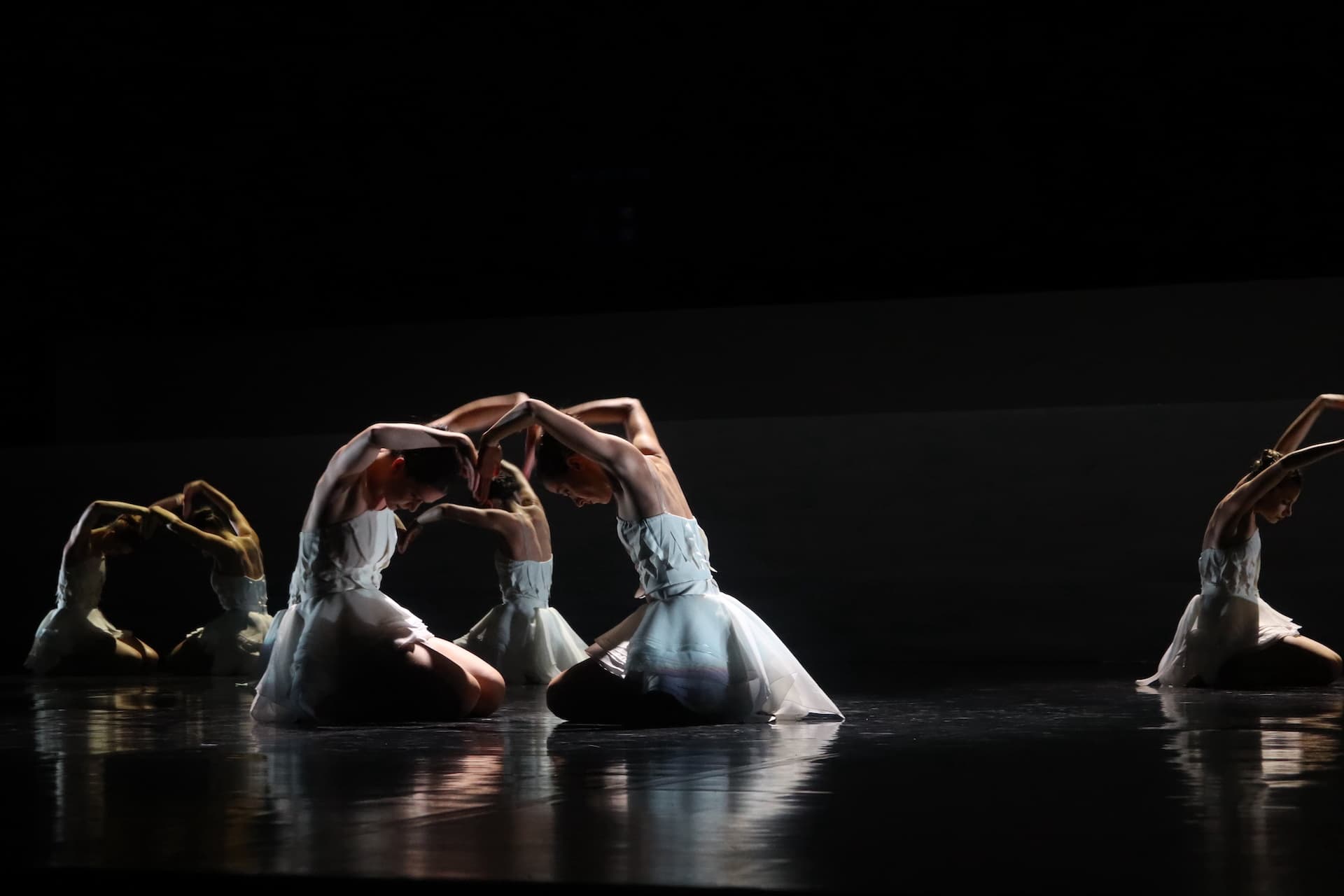 Lac des cygnes angelin preljocaj histoire vaison danses 2023