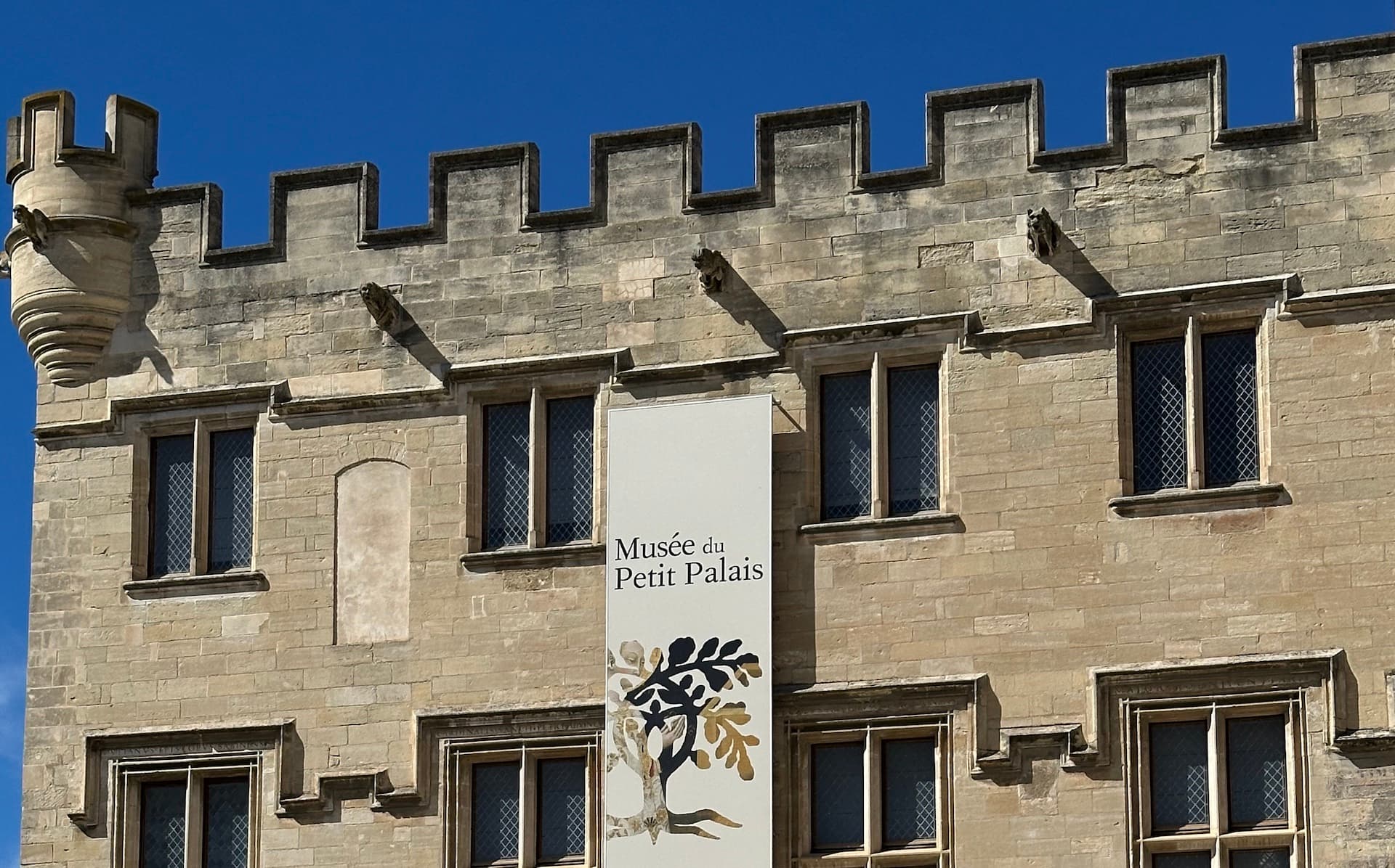 Musée du petit Palais Avignon histoire