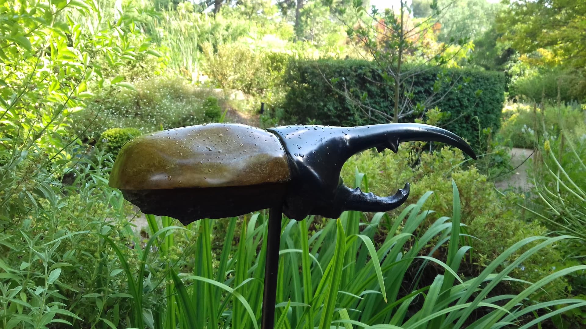exposition 2024 Francois Chapelain Midy ’Espace Namouna saint jean cap ferrat