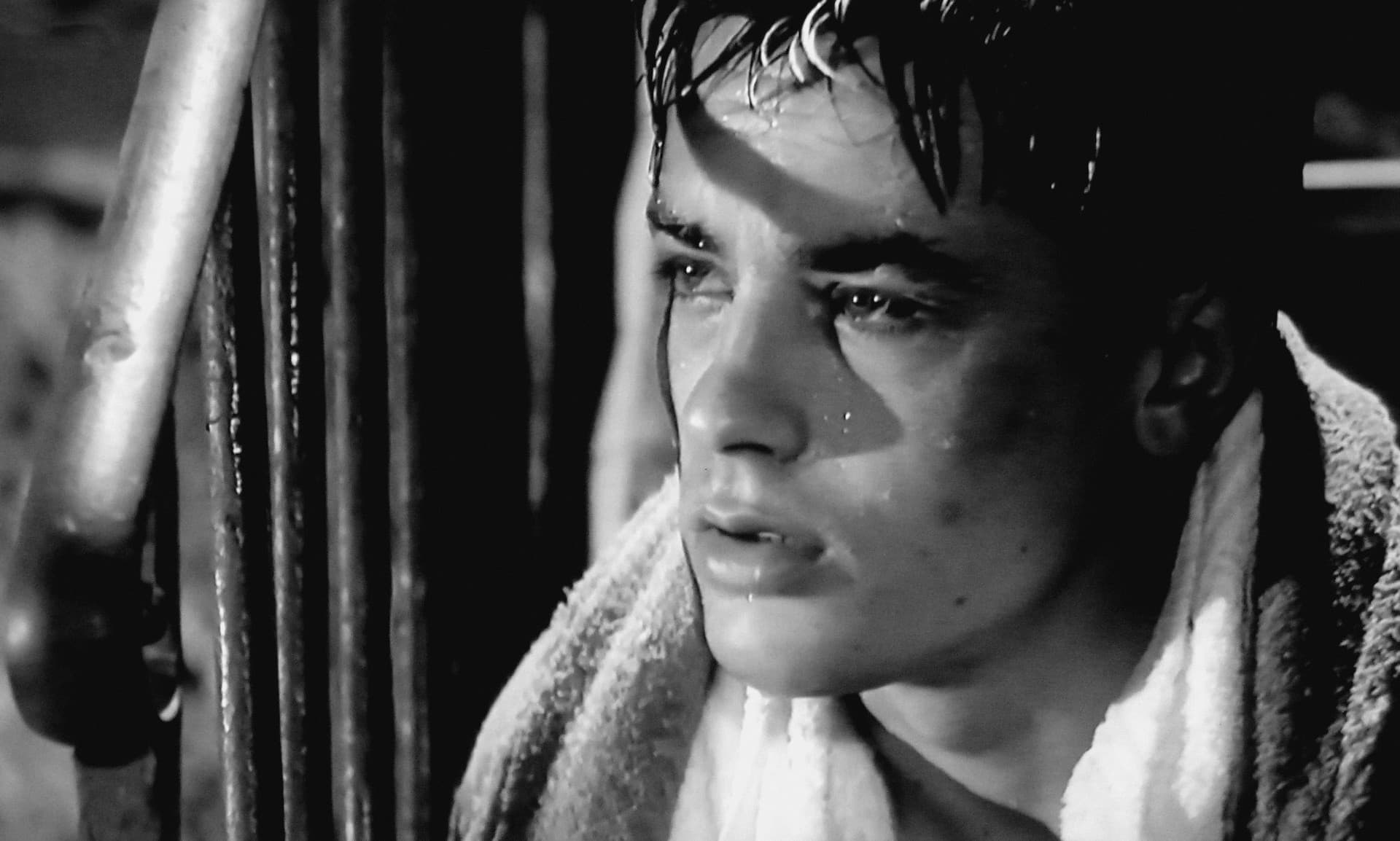 Luchino Visconti, Giuseppe Rotunno