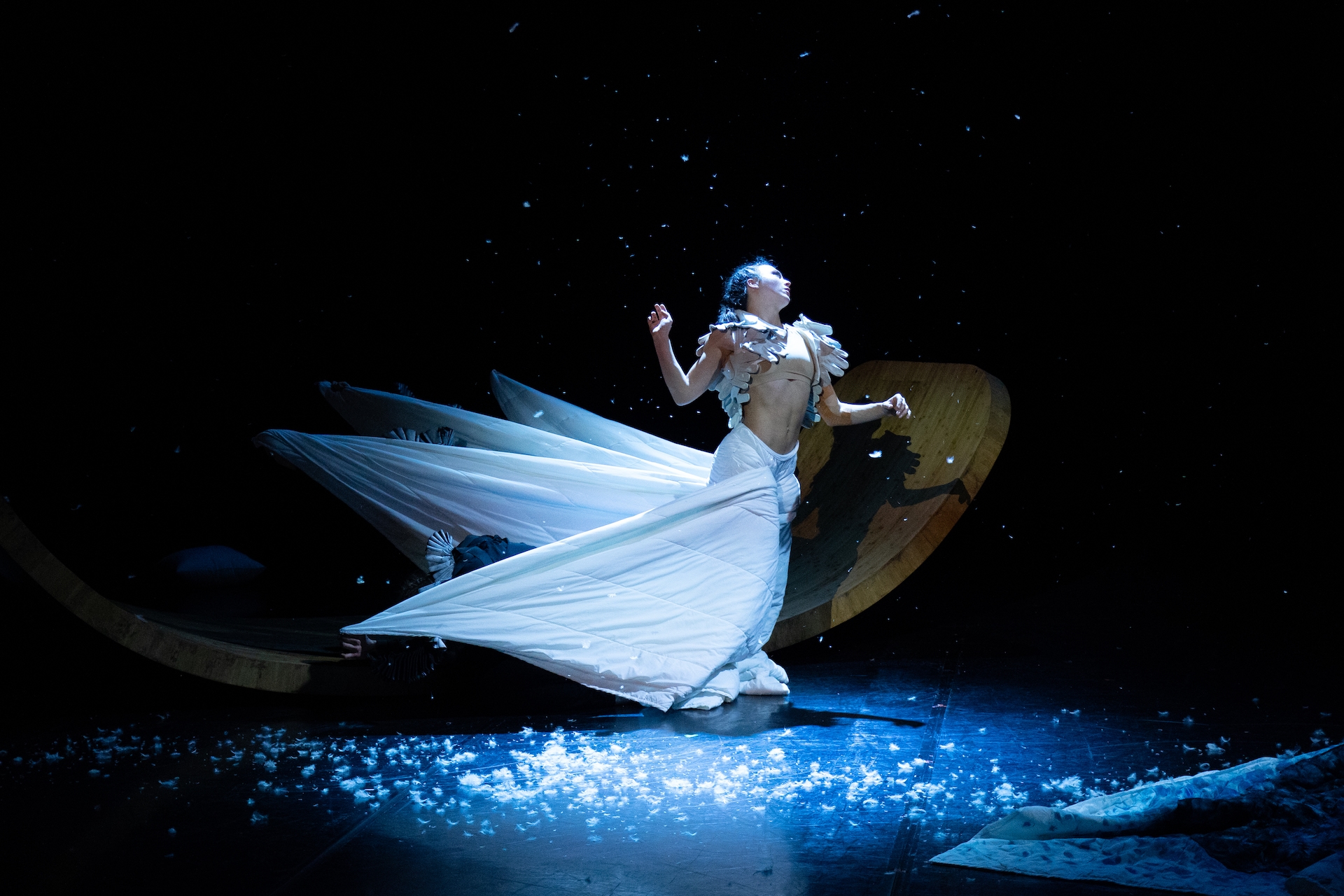 Le Carnaval des Animaux - Menton Saison culturelle 2024 2025