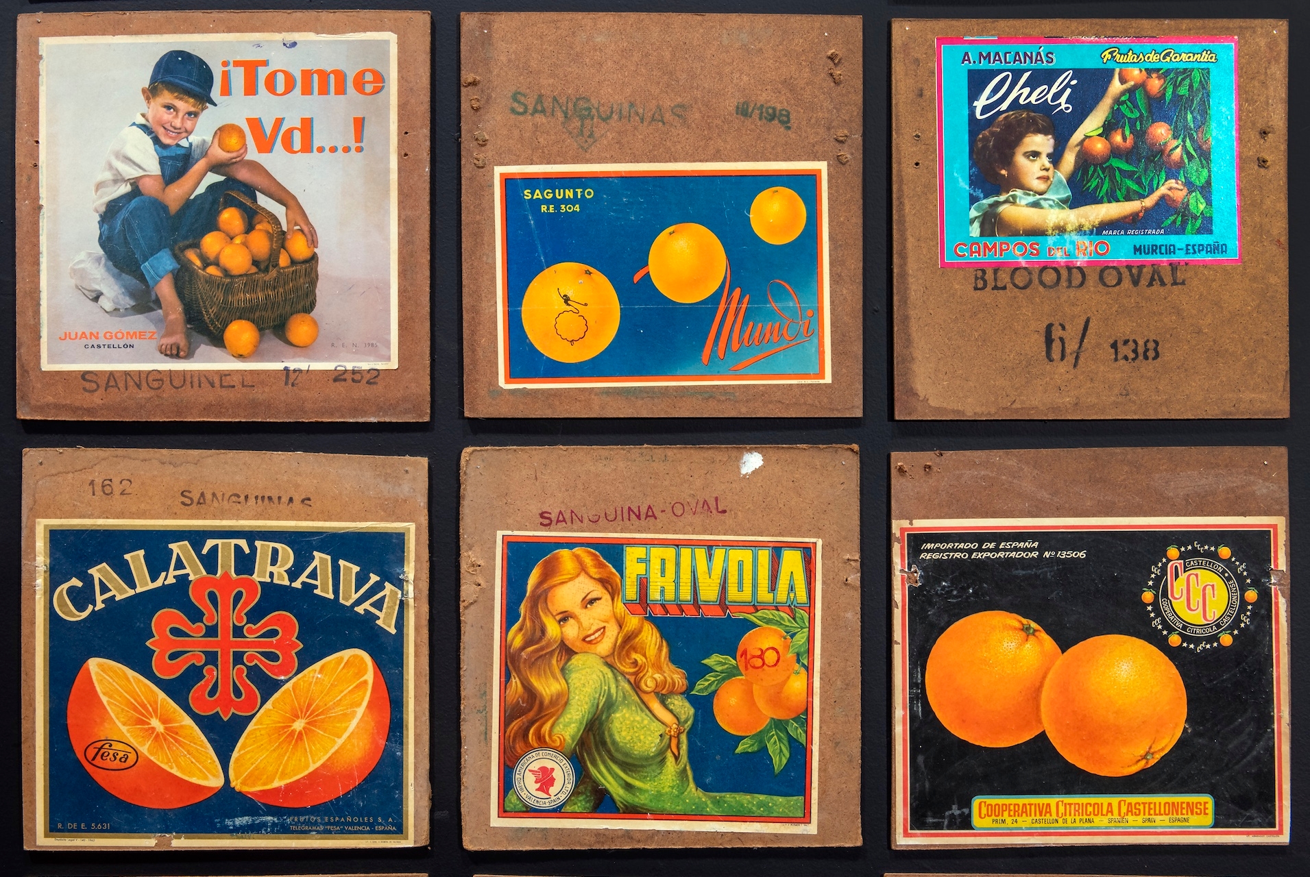 Papiers agrumes expo miam sete