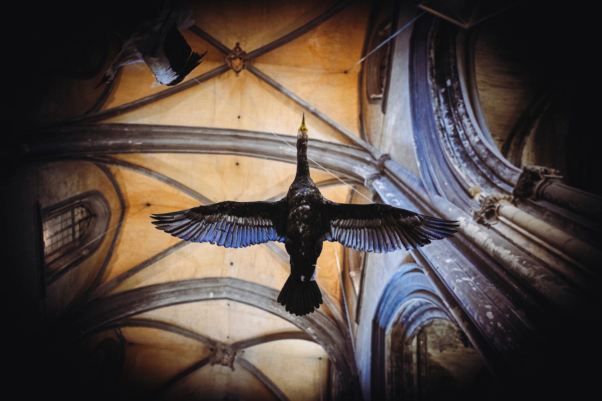 exposition museum requien avignon terre de culture 2025