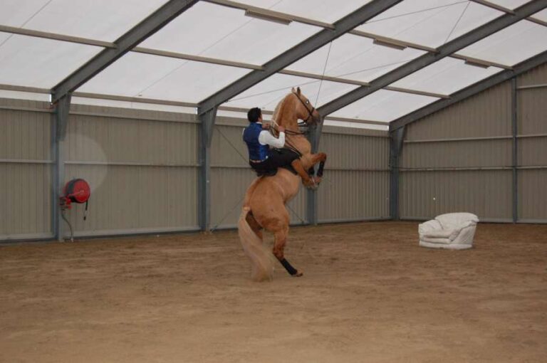 Cheval_passion_2014_2