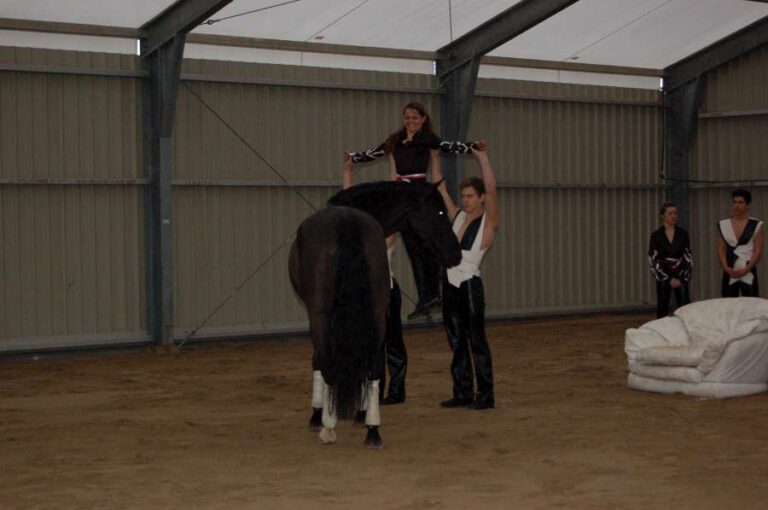 Cheval_passion_2014_3