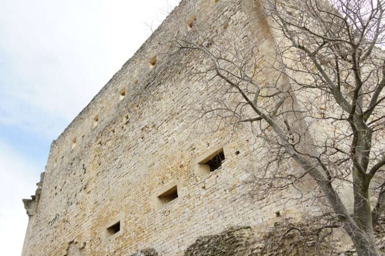 visite_chateau_vaison_1
