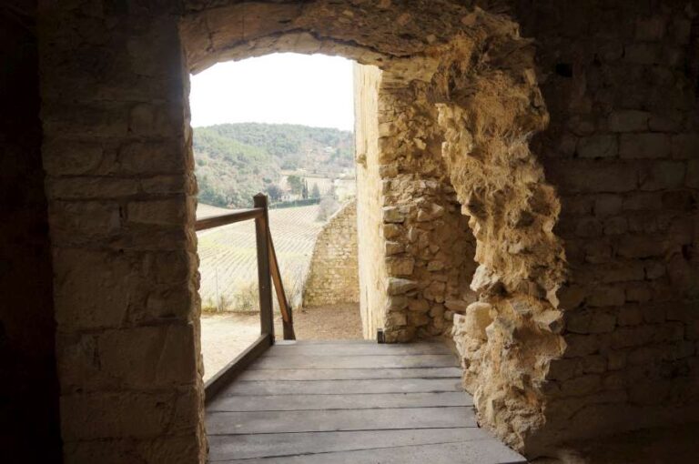 visite_chateau_vaison_14