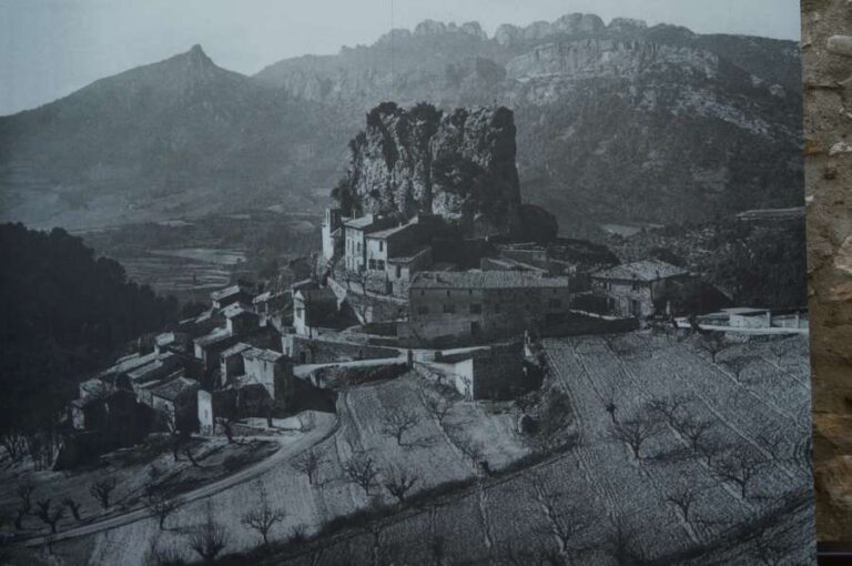 expo_cove_lumiere_11