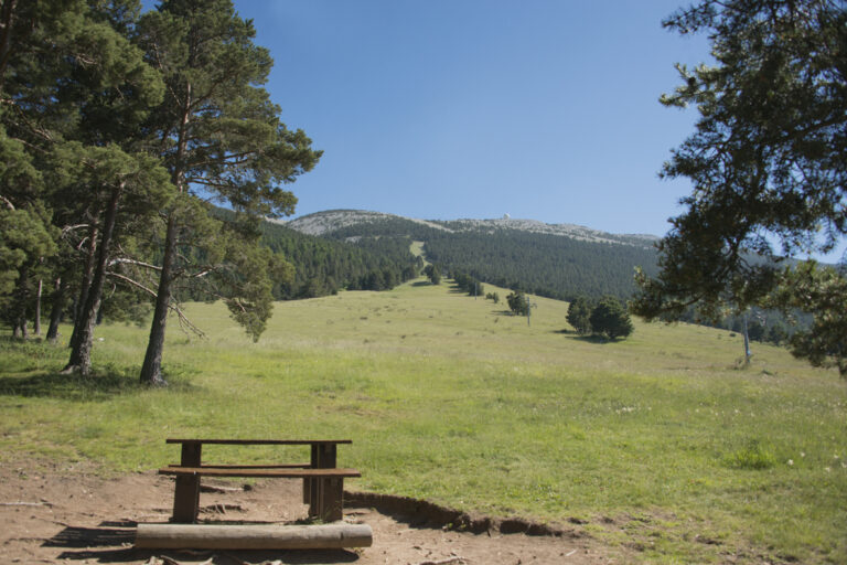 28 juin Randonnes Ventoux - piste_23